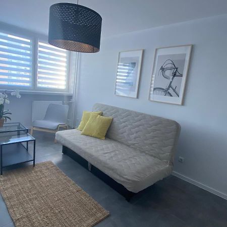 Apartament Os. Jasne 19B Dzierżoniów Kültér fotó